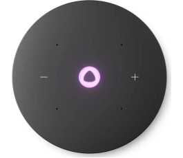 Умная колонка Яндекс Станция Мини 3 Pro с Алисой на YaGPT (серый)