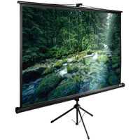 Экран Cactus 220x220см TriExpert CS-PSTE-220x220-BK 1:1 напольный рулонный черный