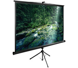Экран Cactus 220x220см TriExpert CS-PSTE-220x220-BK 1:1 напольный рулонный черный