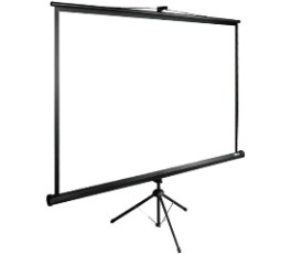 Экран Cactus 220x220см TriExpert CS-PSTE-220x220-BK 1:1 напольный рулонный черный