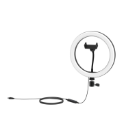 Кольцевая лампа Ritmix RRL-262