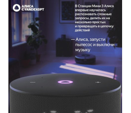Умная колонка Яндекс Станция Мини 3 черная (c часами) (YNDX-00027BLK)