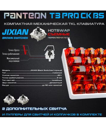 Клавиатура механическая Panteon T3  PRO CK BS USB, бел-чёрная