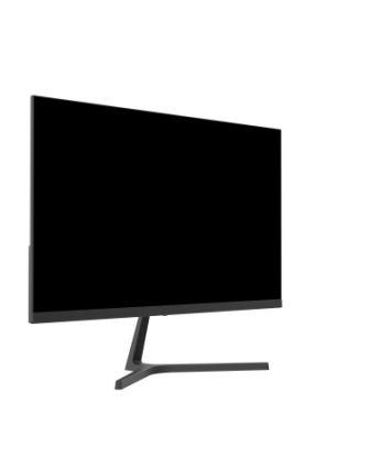 Монитор 23,8" Dahua DHI-LM24-B200S, 100Hz, черный