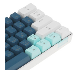 Клавиатура механическая PANTEON T3 RS HS RB, 60%, Rainbow, синий/белый (49)
