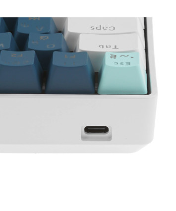 Клавиатура механическая PANTEON T3 RS HS RB, 60%, Rainbow, синий/белый (49)