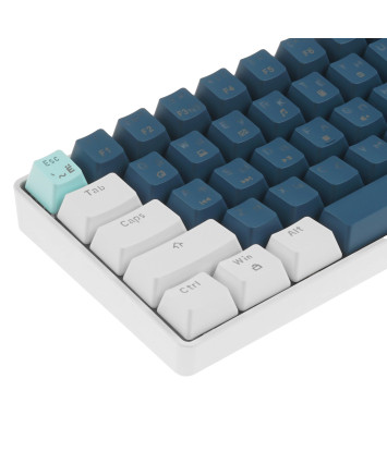 Клавиатура механическая PANTEON T3 RS HS RB, 60%, Rainbow, синий/белый (49)