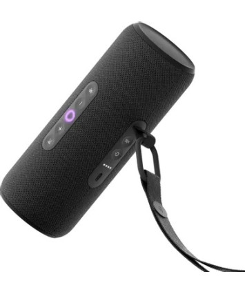 Умная портативная Яндекс Станция Стрит (YNDX-00030BLK) черный