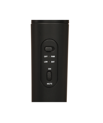 Беспроводная микрофонная система Ritmix RWM-221