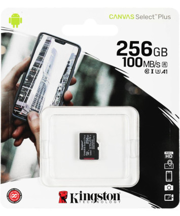Карта памяти MicroSDXC UHS Class 3 Card 256GB Kingston Canvas Select Plus Class10 (SDCS2/256GBSP)