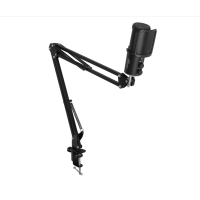 Микрофон RITMIX RDM-278 USB Gaming, черный