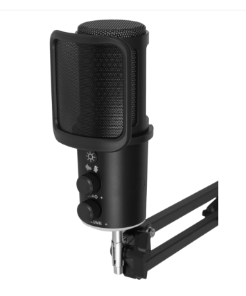 Микрофон RITMIX RDM-278 USB Gaming, черный