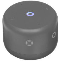 Умная колонка Яндекс Станция Лайт 2 с часами (YNDX-00026GRY), серый