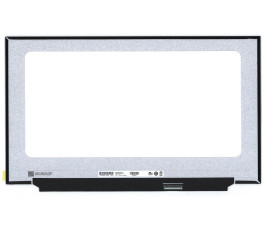Матрица 17.3" B173HANAA.0, (Slim LED, IPS,1920x1080,40pin,Right,144Hz) без ушей