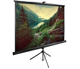 Экран для проектора Cactus 220x220см TriExpert CS-PSTE-220х220-BK 1:1 напольный рулонный