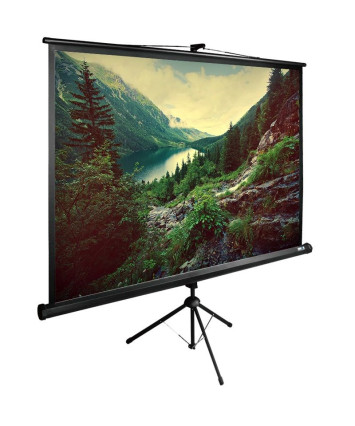 Экран для проектора Cactus 220x220см TriExpert CS-PSTE-220х220-BK 1:1 напольный рулонный