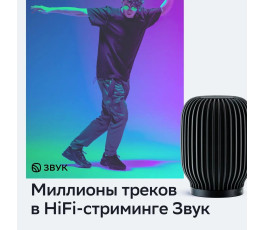 Умная колонка SberBoom (SBDV-00090a), черный