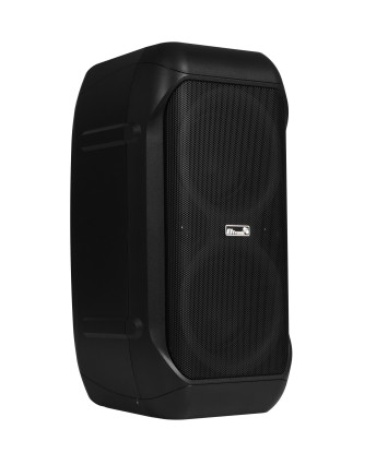 Портативная колонка ELTRONIC с TWS 20-98 CRAZY BOX 1200, динамик 2шт/6.5