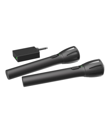 Микрофонный комплект RITMIX RWM-302 Микрофонный комплект RITMIX RWM-302