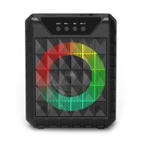 Портативная колонка Smartbuy BLOOM 2 (SBS-5270)