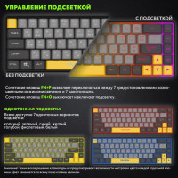 Клавиатура игровая с подсветкой PANTEON M2, 65%, черный