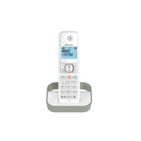 Радиотелефон teXet TX-D5605A белый-серый