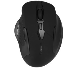 Мышь беспроводная JETACCESS OM-96 BW, BT+2.4G, черный