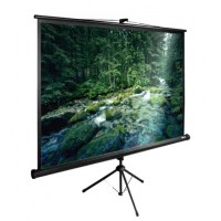 Экран для проектора Cactus 165x220см TriExpert CS-PSTE-220x165-BK 4:3 напольный рулонный черный