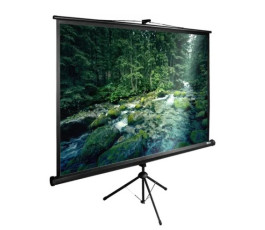 Экран для проектора Cactus 165x220см TriExpert CS-PSTE-220x165-BK 4:3 напольный рулонный черный