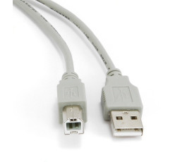 Кабель AM-BM, USB 2.0, 3m, Gembird CC-USB2-AMBM-10