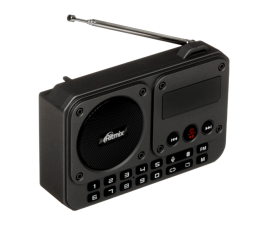 Радиоприемник Ritmix RPR-010, черный