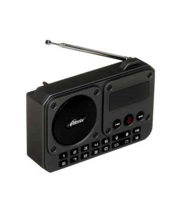 Радиоприемник Ritmix RPR-010, черный Радиоприемник Ritmix RPR-010, черный