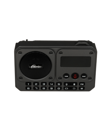 Радиоприемник Ritmix RPR-010, черный Радиоприемник Ritmix RPR-010, черный