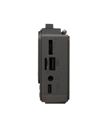 Радиоприемник Ritmix RPR-010, черный Радиоприемник Ritmix RPR-010, черный