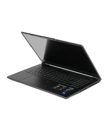 Ноутбук ASUS TUF Gaming F17 (FX707VJ-HX015) 17.3", IPS, i5-210H/16/512/RTX3050, серый