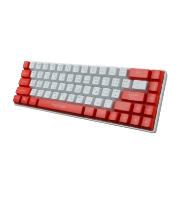 Клавиатура игровая с подсветкой PANTEON M2, 65%, красный/белый (06)