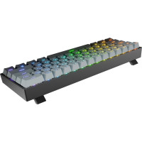 Клавиатура механическая Redragon Fizz RT, RGB, серый (72300)