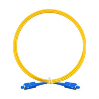 Патч-корд оптический ExeGate SC/UPC-SC/UPC SM 9/125 simplex 2м (FC-S-9-SC-SC-2M-LSZH)