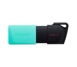 Флеш накопитель 256Gb USB 3.2 Kingston DataTraveler Exodia M (DTXM/256GB)
