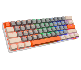 Клавиатура механическая PANTEON T3 BS HS RB, Grey-Ivory