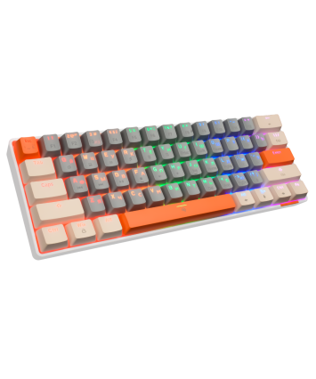 Клавиатура механическая PANTEON T3 BS HS RB, Grey-Ivory