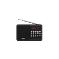 Радиоприемник Ritmix RPR-001