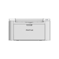 Принтер Pantum P2200