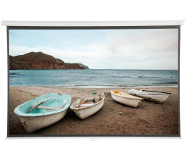 Экран для проектора Cactus 220x138см WallExpert CS-PSWE-220x138-WT 16:10 настенно-потолочный бел.