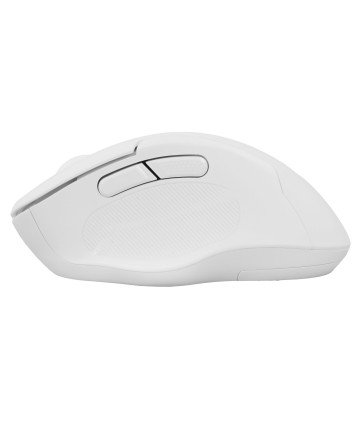 Мышь беспроводная JETACCESS OM-96 BW, BT+2.4G, белый Мышь беспроводная JETACCESS OM-96 BW, BT+2.4G, белый
