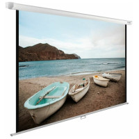 Экран для проектора Cactus 240x240см WallExpert CS-PSWE-240x240-WT 1:1 настенно-потолочный рул. бел.