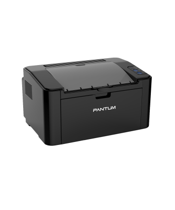 Принтер Pantum P2516